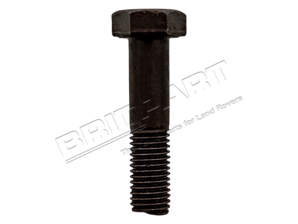 215331X 100 Stück Bolzen