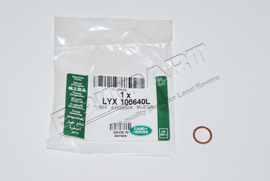 LYX100640L Dichtring Ölleitung Unterlegscheibe