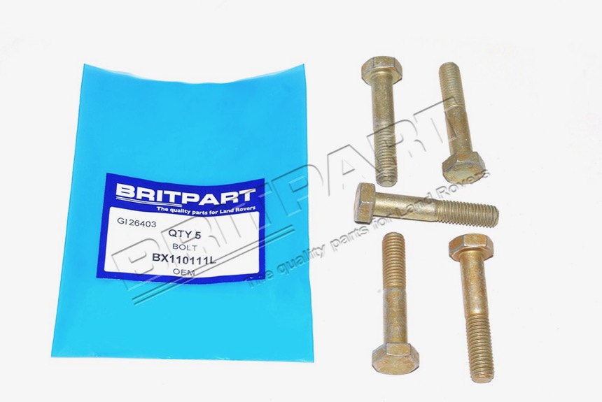 BX110111L Schraube M10x55
