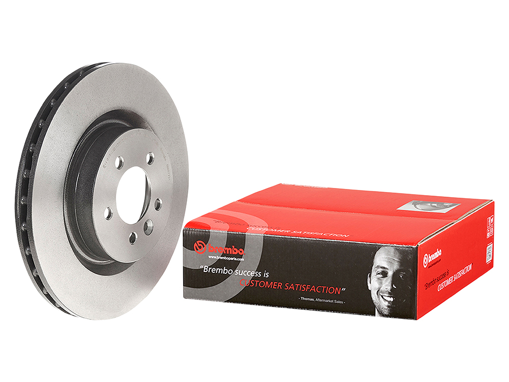 LR189045BR Bremsscheibe vorne einzeln belüftet